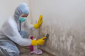 Best Attic Mold Removal  in Raoul, GA